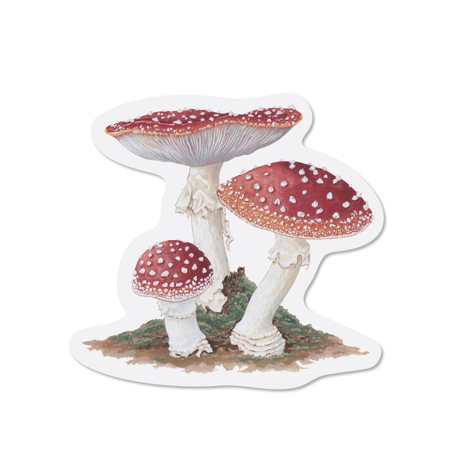 Amanita Muscaria Sticker