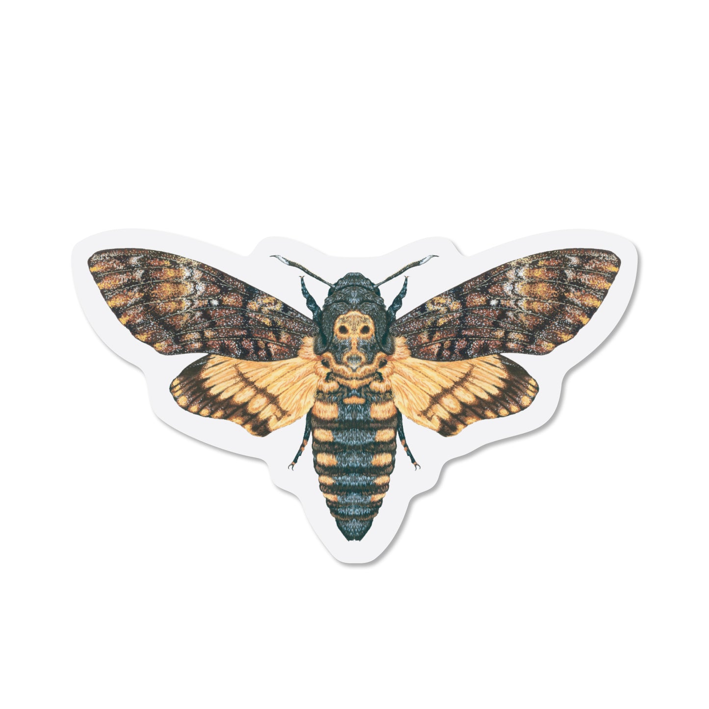 Death's-head Hawkmoth Sticker