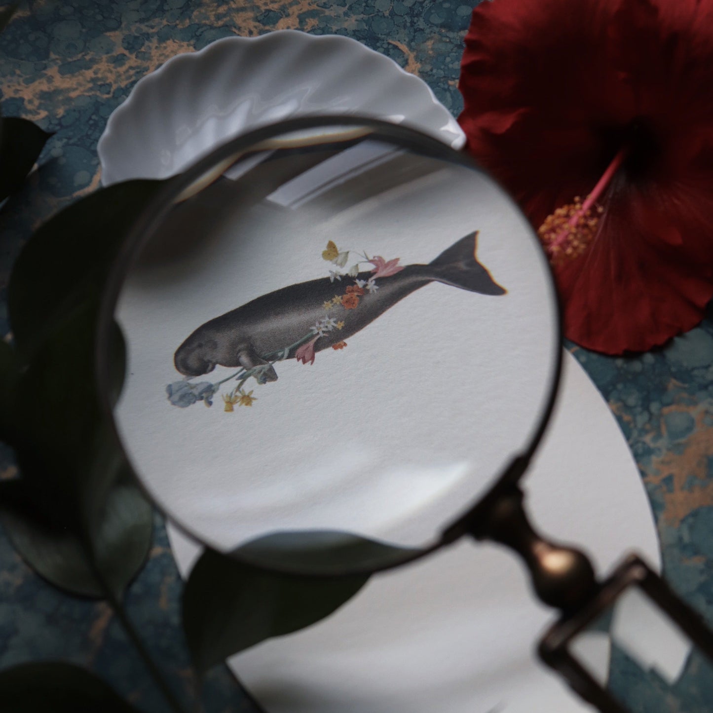 Manatee with Flowers