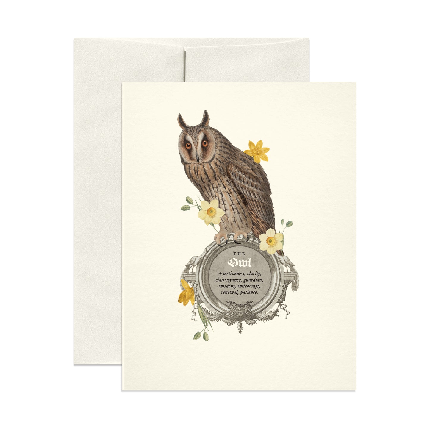 The Owl
