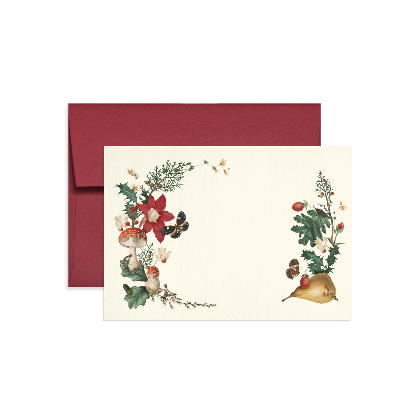 Mushroom Gift Card Set