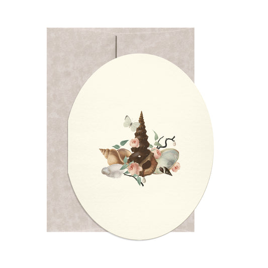Pearls and Shells 1
