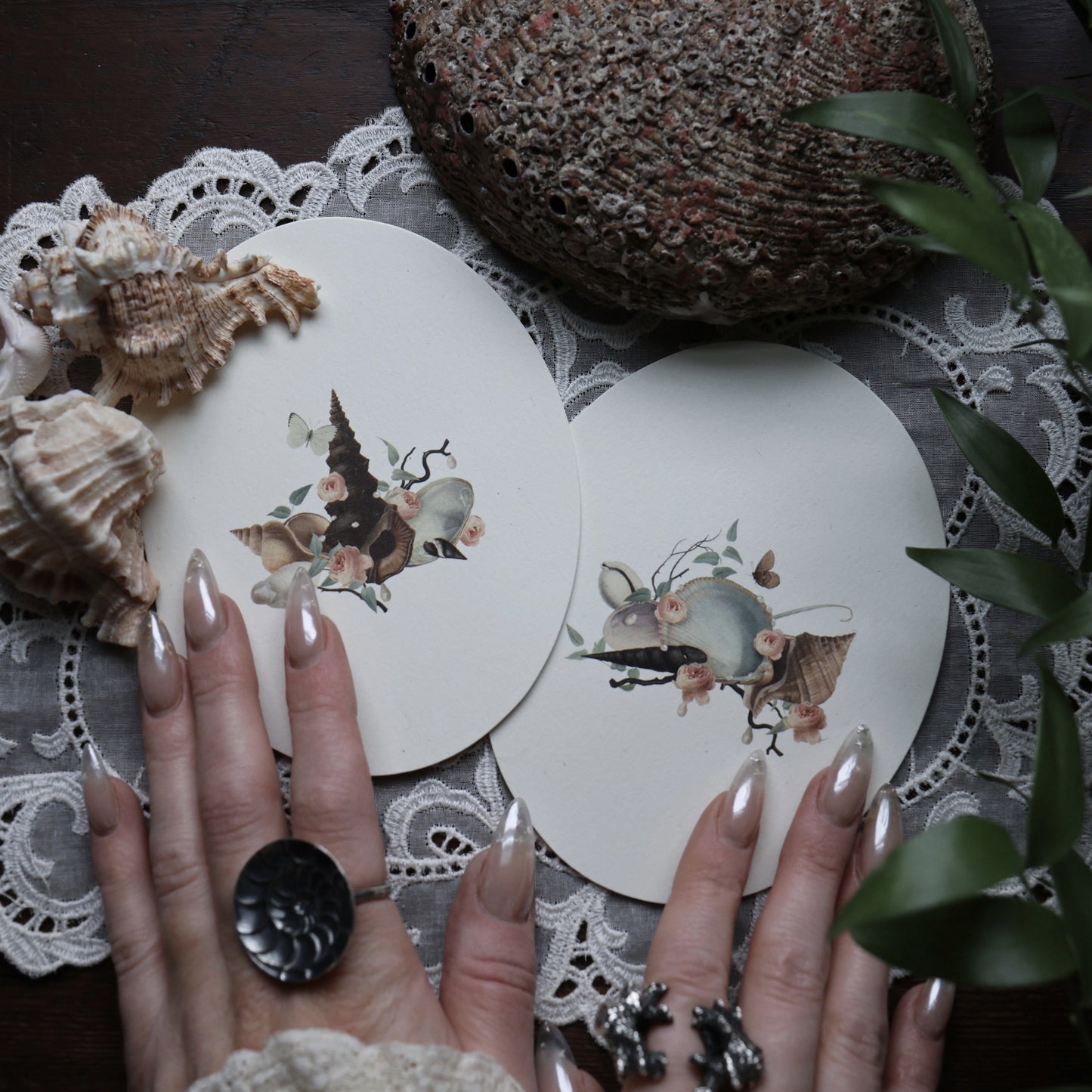 Pearls and Shells 2