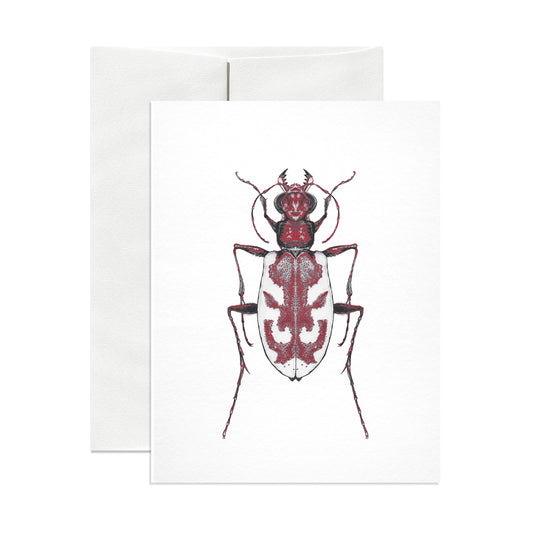 Blowout Tiger Beetle