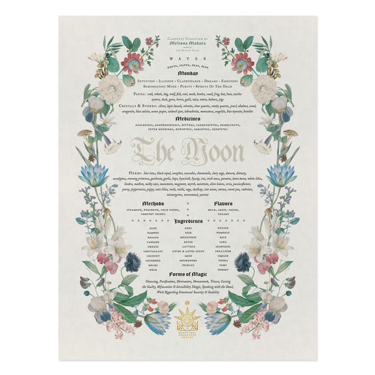 The Moon