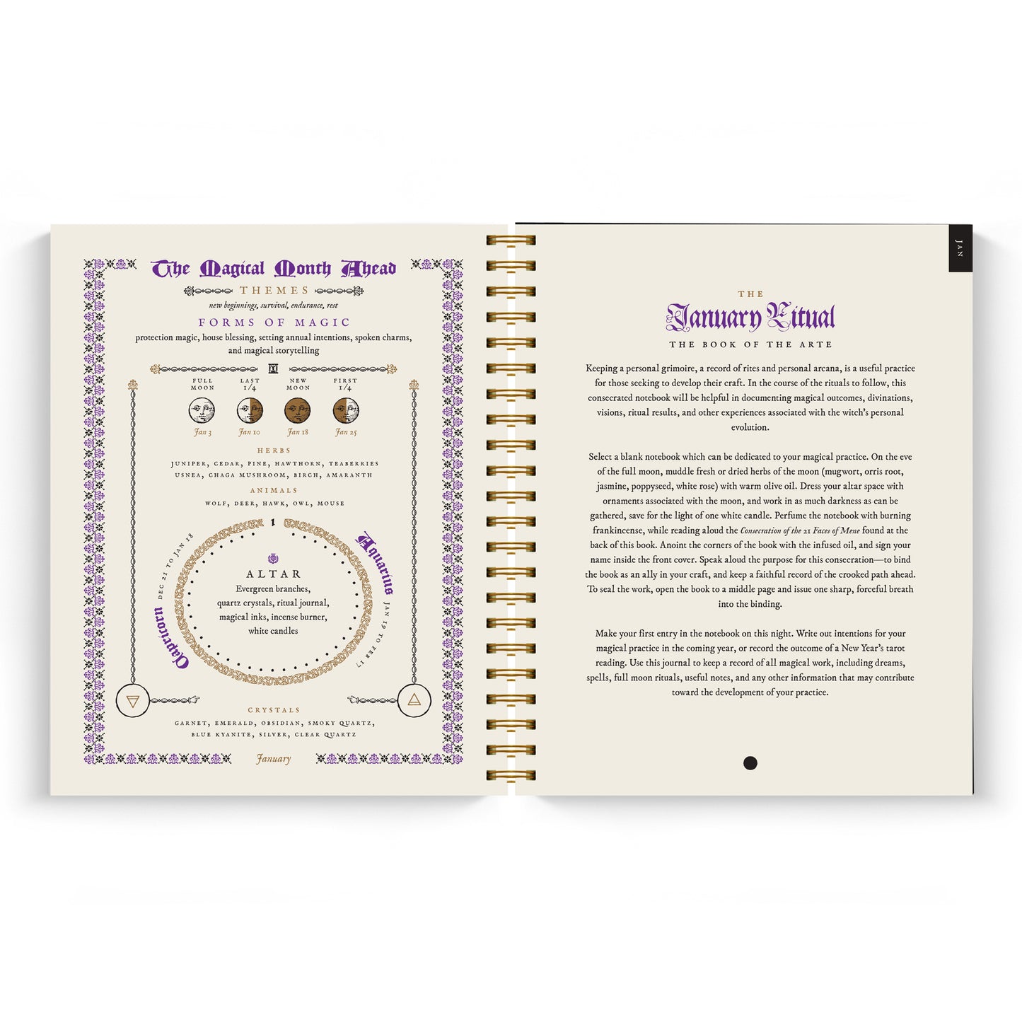 The Witch's Yearly Planner 2026