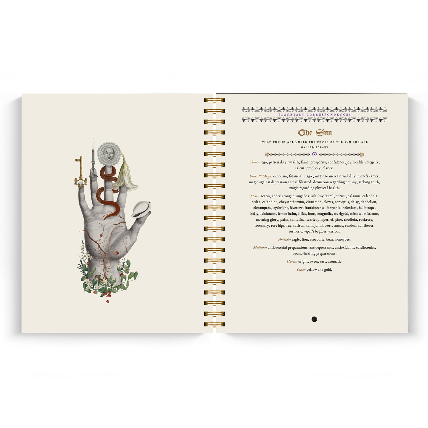 The Witch's Yearly Planner 2026