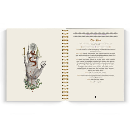 The Witch's Yearly Planner 2026