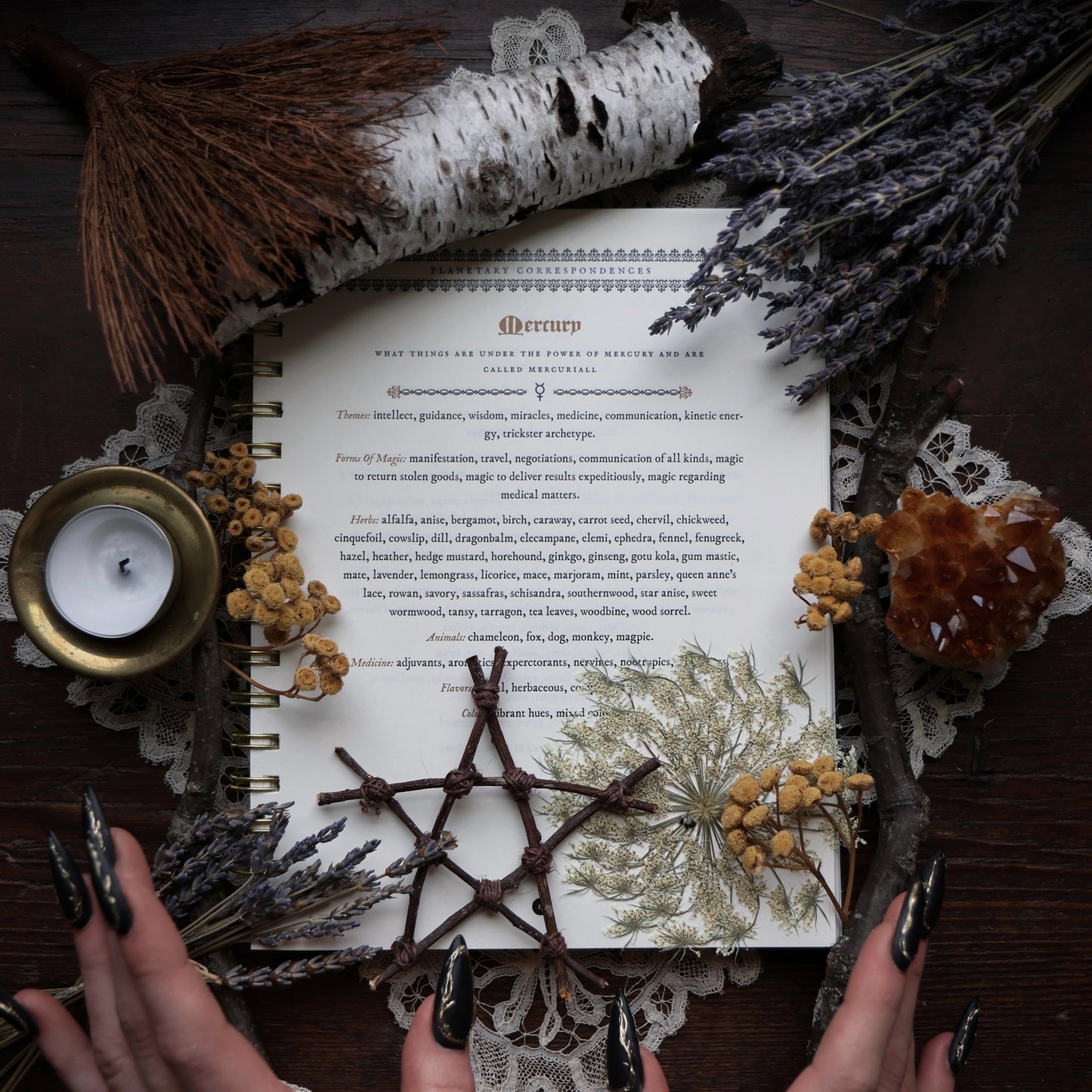 The Witch's Yearly Planner 2026