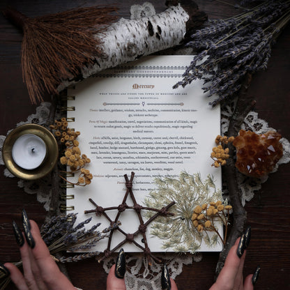 The Witch's Yearly Planner 2026