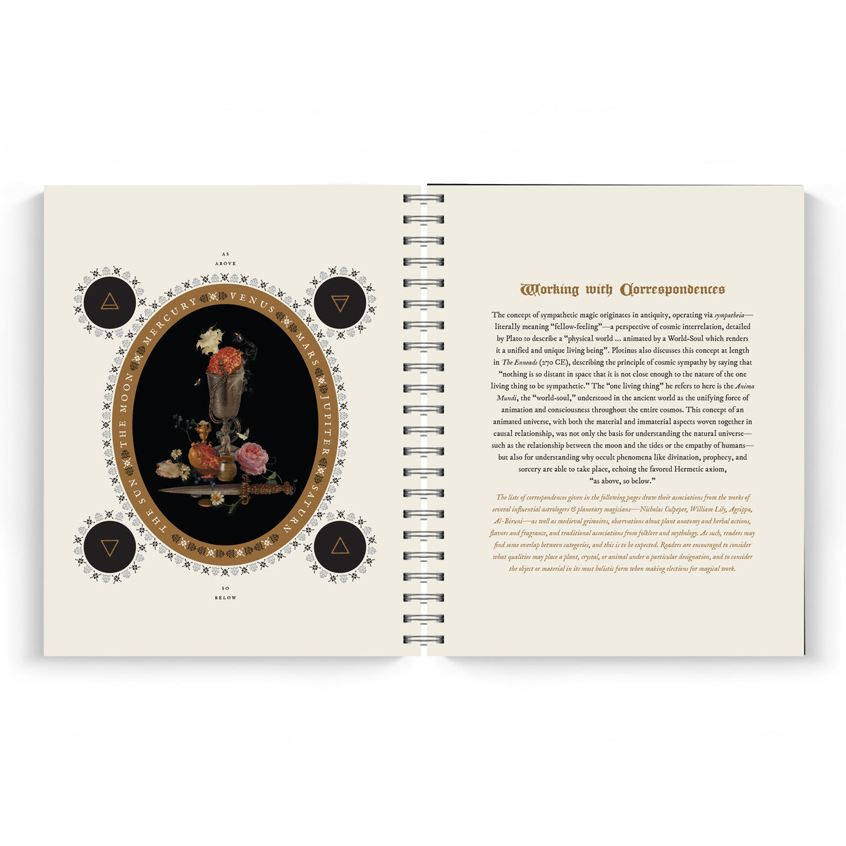 The Witch's Yearly Planner 2027