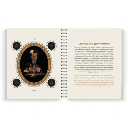 The Witch's Yearly Planner 2027