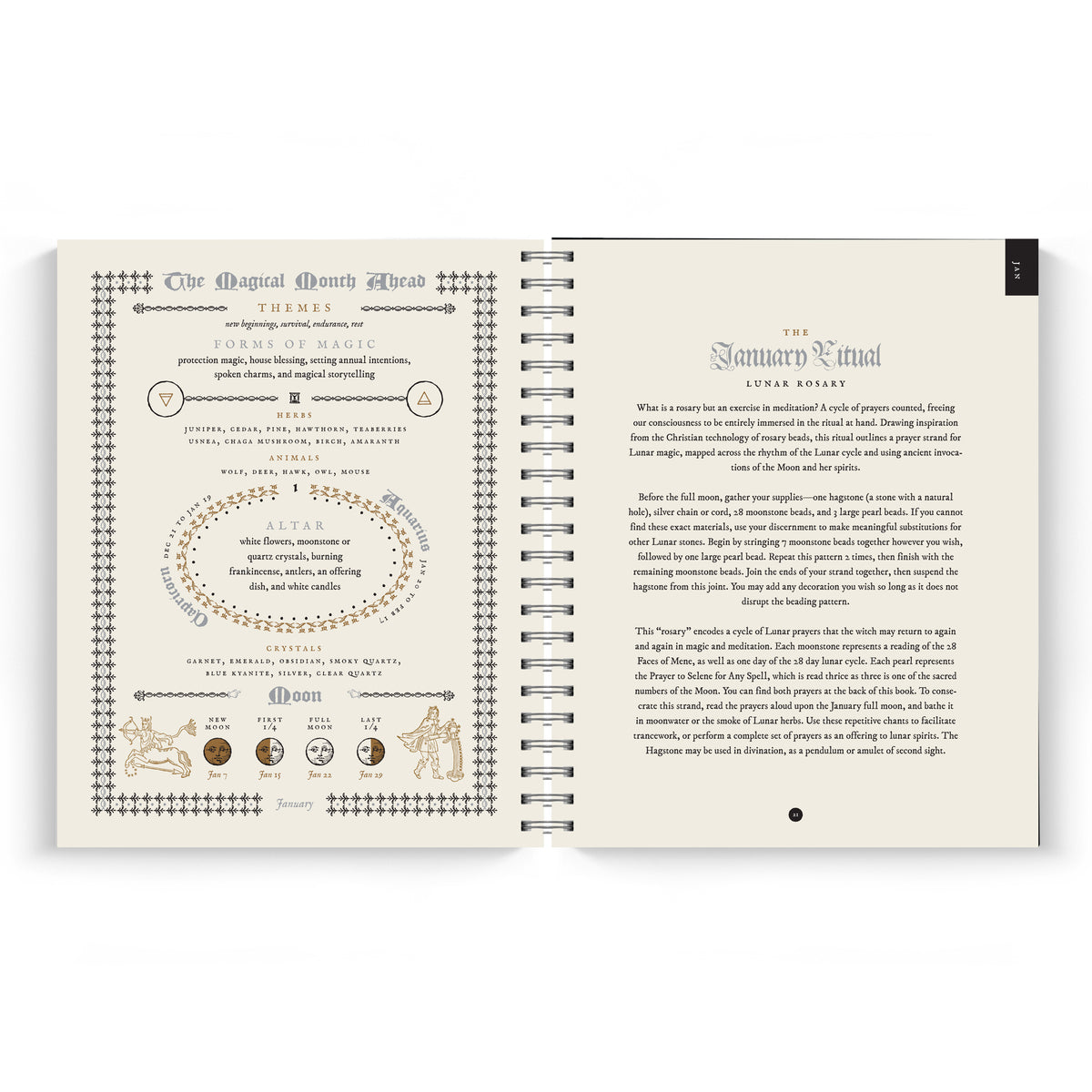 The Witch's Yearly Planner 2027