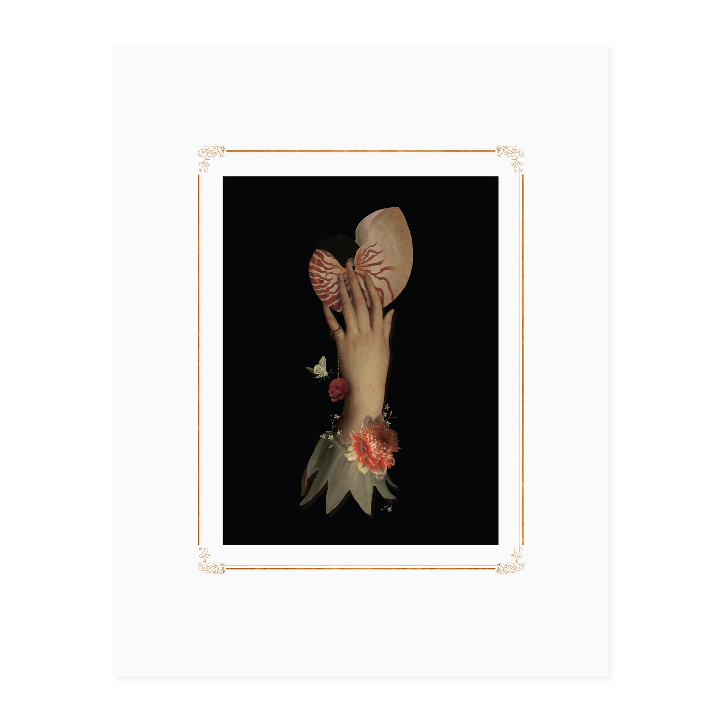 Red Nautilus Print