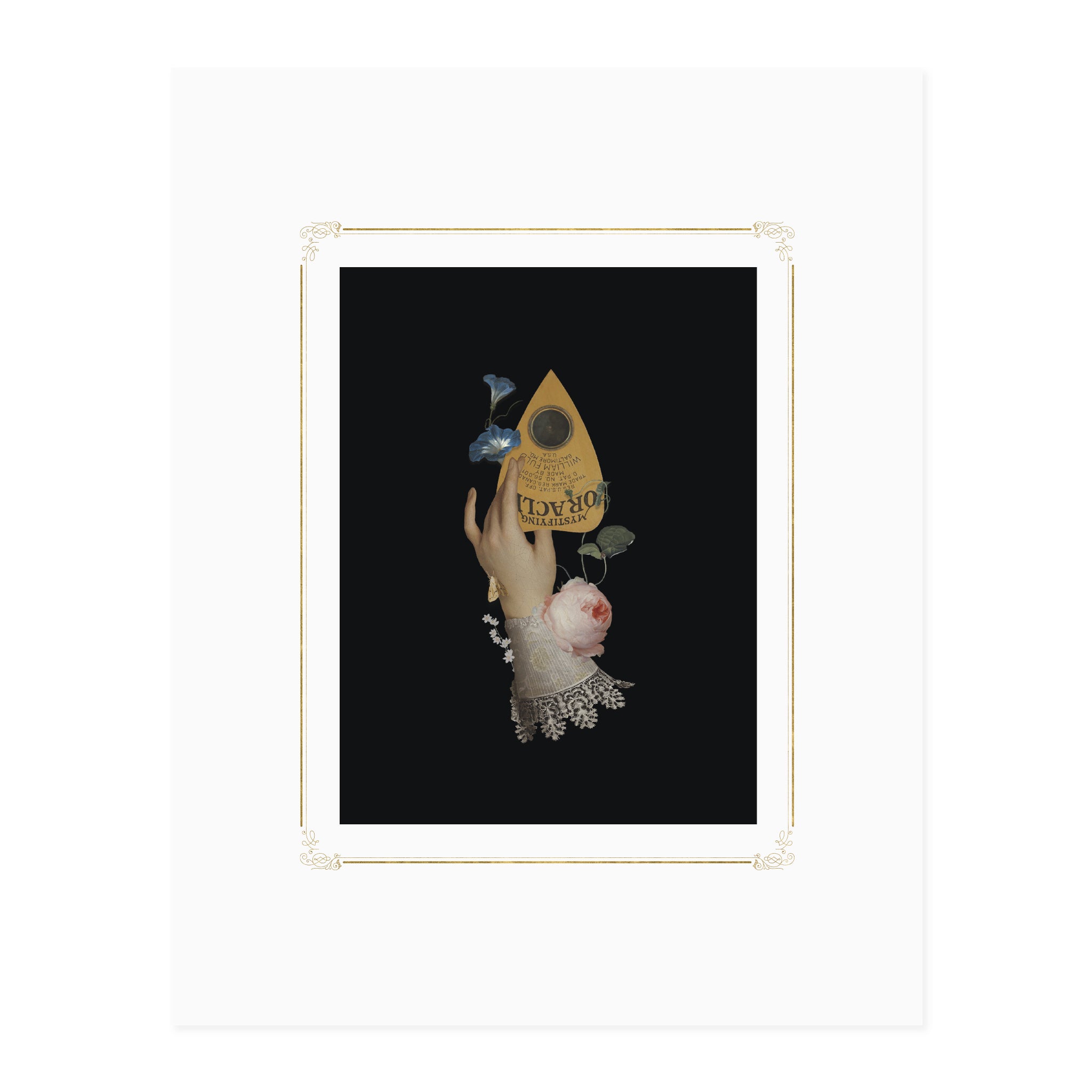 Open Sea Design Co.