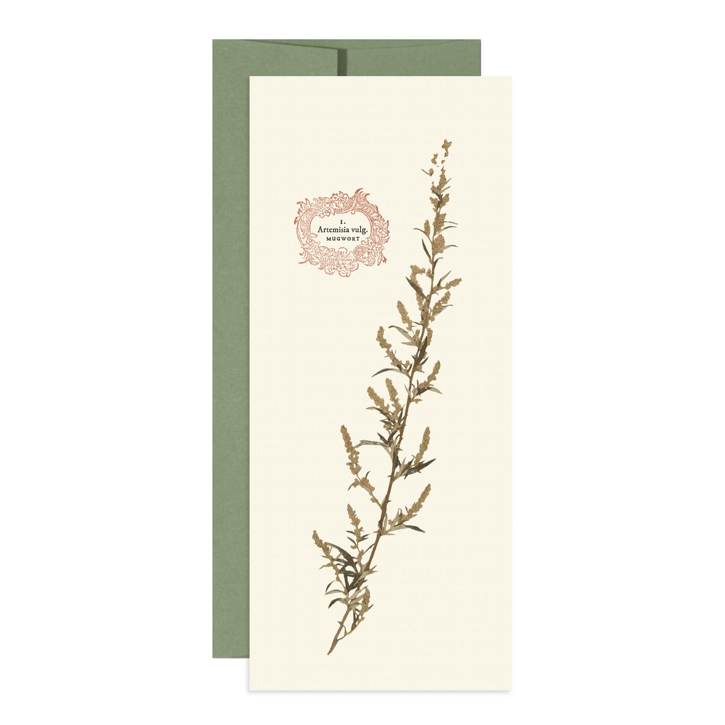 Mugwort Card