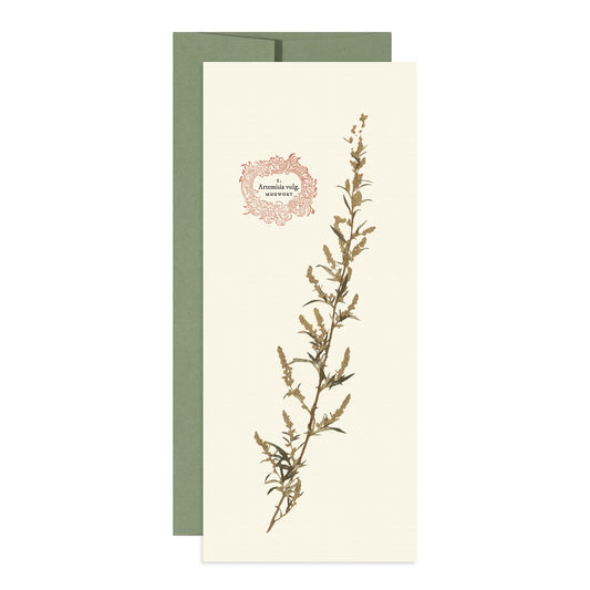 Mugwort Card