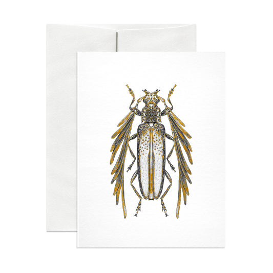 Feather-horned Longicorn