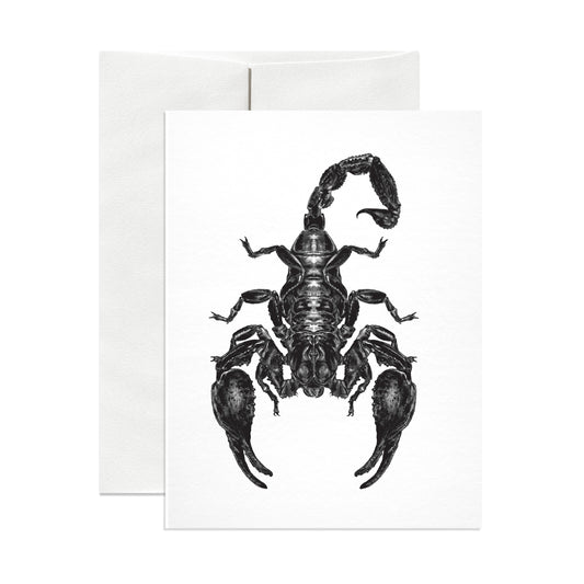 Emperor Scorpion